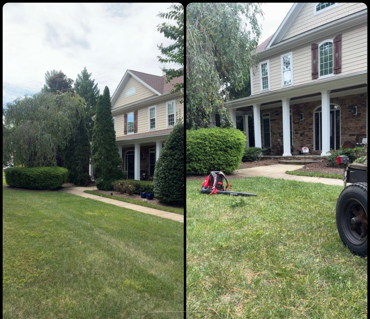 Before and after of foundation trees and shrubs trimmed away from a two-story home near Sanford, NC