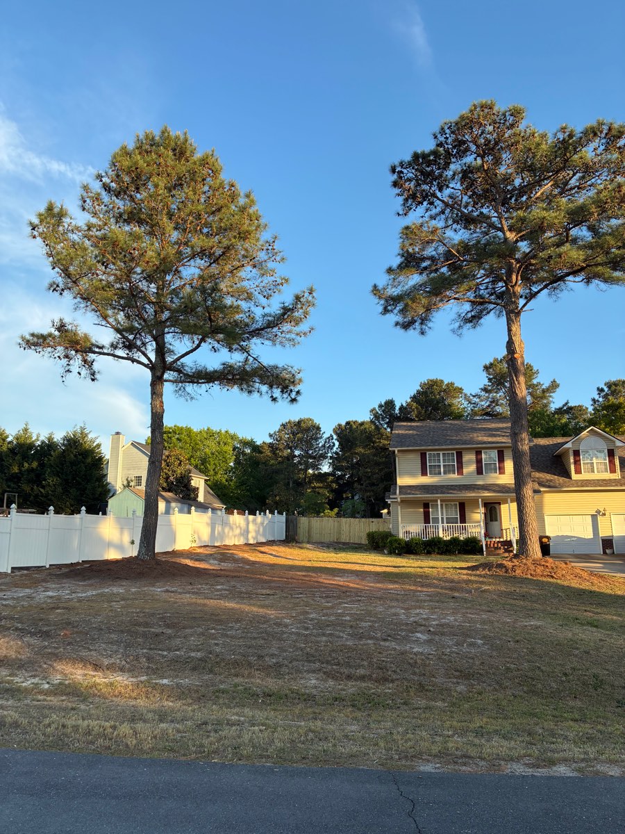 Clean, raked yard at golden hour after tree removal in Broadway, NC